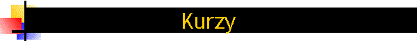 Kurzy