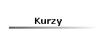 Kurzy